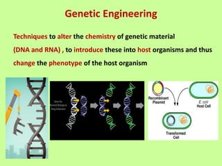 Genetic Engineering
Techniques to alter the chemistry of genetic material
(DNA and RNA) , to introduce these into host organisms and thus
change the phenotype of the host organism
 