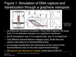 3 Dec 2018
Nanopore Sequencing
Figure 1: Simulation of DNA capture and
translocation through a graphene nanopore
 (a) Molecular Dynamics simulation: 16 bp DNA fragment, 8Å away
from 3.5 nm diameter nanopore in a graphene membrane
 (b) 20 simulations; avg 7.5 ns capture time, avg 12 ns dwell time
 Test different transmembrane voltages (bias): dwell time and
capture rate depend on transmembrane bias
 (c) average translocation time decreases as the inverse of the
transmembrane bias (in line with experimental findings)
 (d) capture rate depends on voltage: sweet spot at 200 mV
24
Avg capture rate:
mean of inverse
capture times
Monotonic: one interval; Non-monotonic: different intervals
 