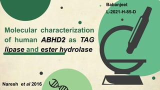 Molecular characterization
of human ABHD2 as TAG
lipase and ester hydrolase
Babanjeet
L-2021-H-85-D
Naresh et al 2016
 