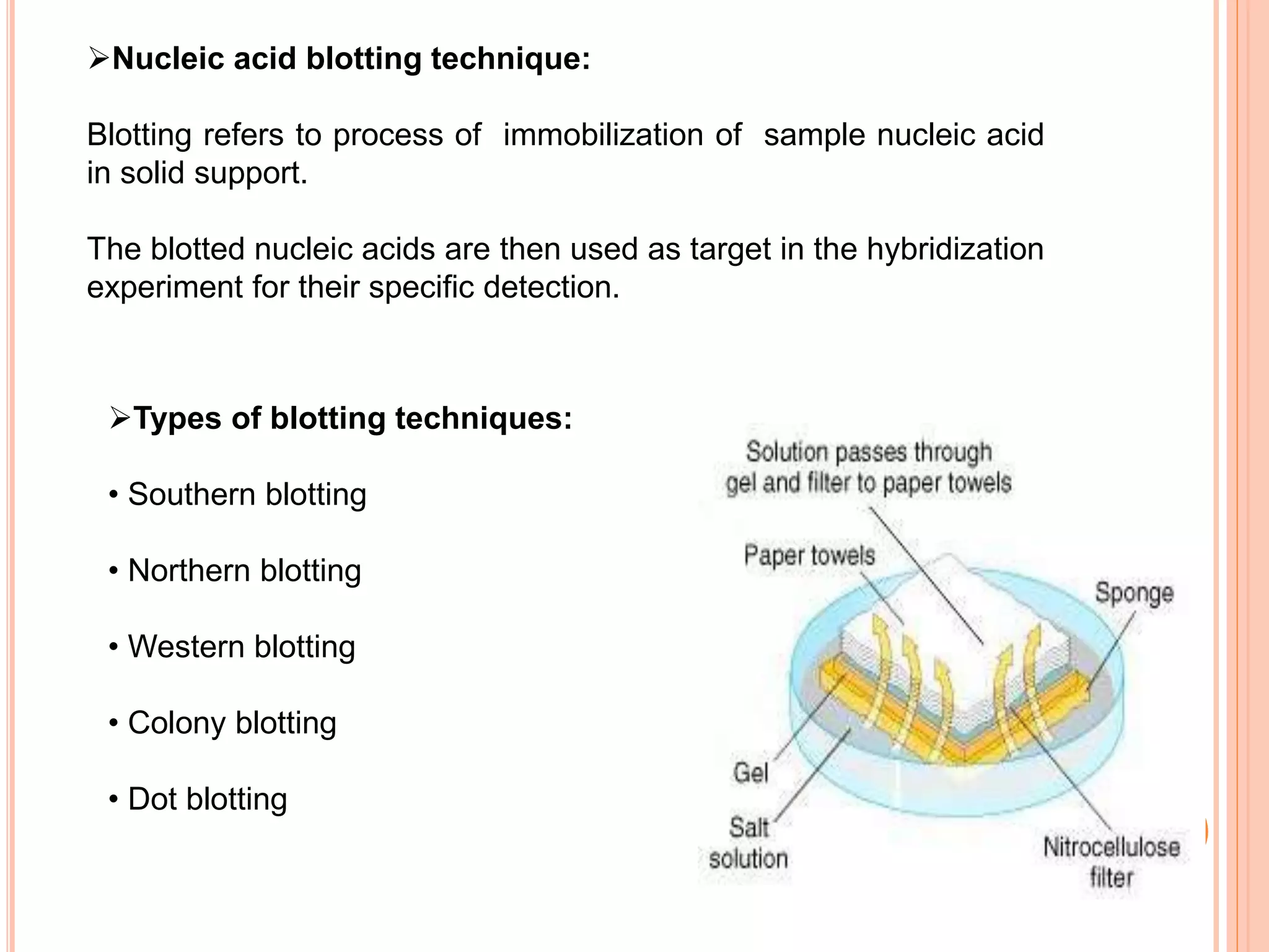 Nucleic acid blotting technique:
Blotting refers to process of immobilization of sample nucleic acid
in solid support.
The blotted nucleic acids are then used as target in the hybridization
experiment for their specific detection.
Types of blotting techniques:
• Southern blotting
• Northern blotting
• Western blotting
• Colony blotting
• Dot blotting
 