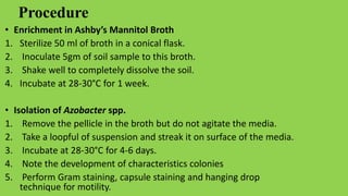 Procedure
• Enrichment in Ashby’s Mannitol Broth
1. Sterilize 50 ml of broth in a conical flask.
2. Inoculate 5gm of soil sample to this broth.
3. Shake well to completely dissolve the soil.
4. Incubate at 28-30°C for 1 week.
• Isolation of Azobacter spp.
1. Remove the pellicle in the broth but do not agitate the media.
2. Take a loopful of suspension and streak it on surface of the media.
3. Incubate at 28-30°C for 4-6 days.
4. Note the development of characteristics colonies
5. Perform Gram staining, capsule staining and hanging drop
technique for motility.
 