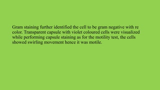 Gram staining further identified the cell to be gram negative with re
color. Transparent capsule with violet coloured cells were visualized
while performing capsule staining as for the motility test, the cells
showed swirling movement hence it was motile.
 