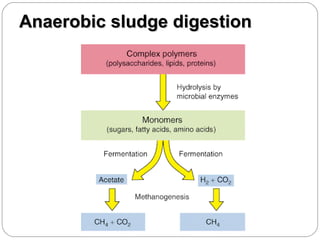 Anaerobic sludge digestion

 