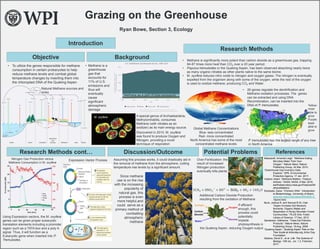Grazing on the Greenhouse
Ryan Bowe, Section 3, Ecology
Introduction
References
Background
Research Methods
Research Methods cont… Potential ProblemsDiscussion/Outcome
Objective
• To utilize the genes responsible for methane
consumption in certain prokaryotes to help
reduce methane levels and combat global
temperature changes by inserting them into
the chloroplast DNA of the Quaking Aspen
• Methane is a
greenhouse
gas that
accounts for
11% of U.S.
emissions and
thus will
eventually
cause
significant
atmospheric
damage
A special genus of Archaebacteria,
Methylomirabilis, consumes
Methane (with nitrates as an
oxidizer) as its main energy source.
Discovered in 2010, M. oxyfera
was found to produce Oxygen and
Nitrogen, providing a novel
technique of respiration
M. oxyfera
Mascarelli, Amanda Leigh. “Methane-Eating
Microbes Make Their Own
Oxygen.” Nature News, Nature
Publishing Group, 24 Mar. 2010.
“Greenhouse Gas Inventory Data
Explorer.” EPA, Environmental
Protection Agency, 17 Jan. 2017,
Voiland, Adam. “Methane Matters : Feature
Articles.” NASA, NASA, 8 Mar. 2016,
earthobservatory.nasa.gov/Features/M
ethaneMatters/.
Krempels, Dana. “Chimeric DNA.” Introduction
to Biotechnology, University of Miami,
www.bio.miami.edu/dana/250/250S12_
10print.html.
Buck, Joshua R, and Samuel B St. Clair.
“Aspen Increase Soil Moisture,
Nutrients, Organic Matter and
Respiration in Rocky Mountain Forest
Communities.” PLOS One, Public
Library of Science, 17 Dec. 2012
Sanderson, Katharine. “Trees Eat Pollution
Products.” Nature News, Nature
Publishing Group, 18 Aug. 2008
“Quaking Aspen.” Quaking Aspen Tree on the
Tree Guide at Arborday.org, Arbor Day
Foundation.
Sadava, David E., et al. Life: The Science of
Biology. 10th ed., vol. 1 3, Freeman,
2017.
• Methane is significantly more potent than carbon dioxide as a greenhouse gas, trapping
84-87 times more heat than CO2 over a 20 year period.
• Populus tremuloides or the Quaking Aspen, has been observed absorbing nearly twice
as many organic nitrates as other plants native to the same biome.
• M. oyxfera reduces nitric oxide to nitrogen and oxygen gases. The nitrogen is eventually
expelled from the organism along with some of the oxygen, while the rest of the oxygen
is used to oxidize methane, producing CO2 and Water.
• 26 genes regulate the denitrification and
Methane oxidation processes. The genes
can be extracted and using DNA
Recombination, can be inserted into the
DNA of P. tremuloides.
P. tremuloides has the largest range of any tree
in North America
Nitrogen Gas Production versus
Methane Consumption in M. oxyfera
Expression Vector Process
Using Expression vectors, the M. oxyfera
genes can be given proper eukaryotic
translation elements including a promoter
region such as a TATA box and a poly A
signal. Thus, it will function as a
Eukaryotic gene when inserted into P.
Tremuloides.
Over-Fertilization: the
result of increased
Nitrogen production
eventually kills plants
5CH4 + 8NO3
−
+ 8H+
𝟓𝐂𝐎 𝟐 + 4N2 + 14H2O
Additional Carbon Dioxide Production
resulting from the oxidation of Methane
If efficient
enough, this
process could
potentially
impede
photosynthesis in
the Quaking Aspen, reducing Oxygen output
Assuming this process works, it could drastically aid in
the removal of methane from the atmosphere, cutting
temperature rise levels by a significant amount.
Since methane
use is on the rise
with the increasing
popularity of
natural gas, this
process is even
more helpful,and
could serve as a
primary method of
combatting
atmospheric
methane
Methane as a part of total emissions
Natural Methane sources and
sinks
Yellow:
most
able to
grow
Purple:
least
able to
grow
Global Methane Concentrations
Blue- less concentrated
Red- more concentrated
North America has some of the most
concentrated methane levels
 