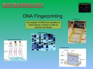 Introduction to Biotechnology | PPT