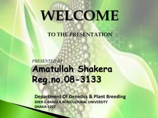 1
Department Of Genetics & Plant Breeding
SHER-E-BANGLA AGRICULTURAL UNIVERSITY
DHAKA-1207
PRESENTED BY
Amatullah Shakera
Reg.no.08-3133
 