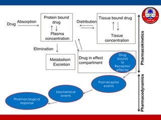 Biotechnology: Pharmacokinetics and Pharmacodynamics of Peptide and ...
