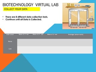 BIOTECHNOLOGY VIRTUAL LAB
    COLLECT YOUR DATA

•    There are 8 different data collection tests.
•    Continue until all Data is Collected.




     ECB Level    Mass of 1 st ear   Mass of 2 nd ear   Mass of 1 st ear   Average (show work)


                                                                                     
       None


                                                                                     
        Low
 