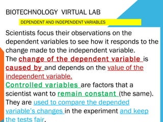 BIOTECHNOLOGY VIRTUAL LAB
    DEPENDENT AND INDEPENDENT VARIABLES

Scientists focus their observations on the
dependent variables to see how it responds to the
change made to the independent variable.
The change of the dependent variable is
caused by and depends on the value of the
independent variable.
Controlled variables are factors that a
scientist want to remain constant (the same).
They are used to compare the depended
variable’s changes in the experiment and keep
the tests fair.
 