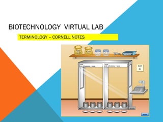 BIOTECHNOLOGY VIRTUAL LAB
  TERMINOLOGY – CORNELL NOTES
 