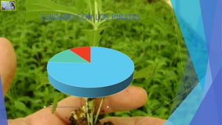 CUIDADO CON LOS PIRATAS
76%
14%
10%
Implicancias para la seguridad alimentaria futura Implementación minuciosa Producción sosteniendo el medio ambiente
 