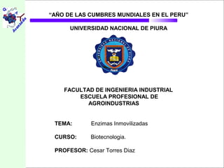 “AÑO DE LAS CUMBRES MUNDIALES EN EL PERU”

      UNIVERSIDAD NACIONAL DE PIURA




    FACULTAD DE INGENIERIA INDUSTRIAL
        ESCUELA PROFESIONAL DE
           AGROINDUSTRIAS


 TEMA:       Enzimas Inmovilizadas

 CURSO:      Biotecnologia.

 PROFESOR: Cesar Torres Diaz
 