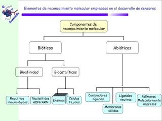 Elementos de reconocimiento molecular empleados en el desarrollo de sensores



                                       Componentes de
                                   reconocimiento molecular




                   Bióticos                                     Abióticos




       Bioafinidad            Biocatalíticos




                                                  Cambiadores     Ligandos     Polímeros
  Reactivos     Nucleótidos             Células     líquidos       neutros
                              Enzimas                                        Molecularmente
inmunológicos   ADN/ARN                 Tejidos
                                                                                impresos
                                                           Membranas
                                                             sólidas
 