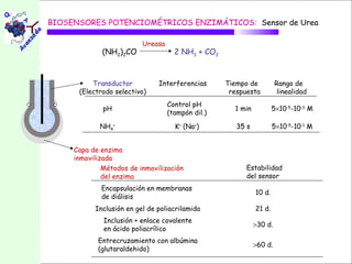 BIOSENSORES POTENCIOMÉTRICOS ENZIMÁTICOS: Sensor de Urea

                          Ureasa
             (NH2)2CO                2 NH3 + CO2



          Transductor          Interferencias      Tiempo de          Rango de
      (Electrodo selectivo)                         respuesta          linealidad
                                   Control pH
              pH                                     1 min           5×10-5-10-3 M
                                   (tampón dil.)

             NH4+                    K+ (Na+)         35 s           5×10-5-10-1 M


     Capa de enzima
     inmovilizada
              Métodos de inmovilización                  Estabilidad
              del enzima                                 del sensor
             Encapsulación en membranas
                                                             10 d.
             de diálisis
           Inclusión en gel de poliacrilamida                21 d.
              Inclusión + enlace covalente
                                                             >30 d.
              en ácido poliacrílico
            Entrecruzamiento con albúmina
                                                             >60 d.
            (glutaraldehido)
 