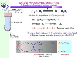 SENSORES AMPEROMÉTRICOS ENZIMÁTICOS
                 1. Basados en el empleo de enzimas oxidasas

  Señal (i/ µA)                                            E
     Eapl = cte                 SH2 + O2                               S + H2O2
                         1. Medida del peróxido de hidrógeno generado

                                  SH2 + E(FAD)              E(FADH2) + S
     transductor
                                  E(FADH2) + O2                E(FAD) + H2O2

                                  H2O2                O 2 + 2 H+ + 2 e-   Reacción electródica

                         2. Empleo de un mediador de transferencia electrónica (Med)
Enzima                         (el O2 se sustituye por un aceptor de electrones no fisiológico)
inmovilizada



                      Medred                 E ox                SH2                   SH2
                                           E(FAD)
          e-

                                           E(FADH2)
                      Medox                 Ered                  S                S

                                     Sensor Enzima y mediador                 Disolución
                                             inmovilizados
 