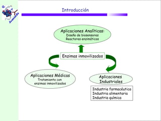 Introducción



                   Aplicaciones Analíticas:
                          Diseño de biosensores
                          Reactores enzimáticos




                    Enzimas inmovilizados



Aplicaciones Médicas                              Aplicaciones
    Tratamiento con
  enzimas inmovilizados                           Industriales
                                          Industria farmacéutica
                                          Industria alimentaria
                                          Industria química
 