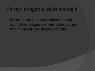 Manejo amigable de la ecología
   Se emplean microorganismos en el
    control de plagas y enfermedades que
    minimizan el uso de plaguicidas.
 