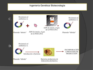 Ingeniería Genética/ Biotecnología




C.




D.
 