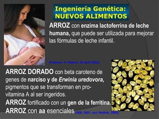 Ingeniería Genética:
                         NUEVOS ALIMENTOS
                     ARROZ con enzima lactoferrina de leche
                     humana, que puede ser utilizada para mejorar
                     las fórmulas de leche infantil.


                     (Pearson, H. Nature, 26 april 2002).


ARROZ DORADO con beta caroteno de
genes de narciso y de Erwinia uredovora,
pigmentos que se transforman en pro-
vitamina A al ser ingeridos.
ARROZ fortificado con un gen de la ferritina.
ARROZ con aa esenciales (ISB, 2001, oct; Netlink, 2000).
 