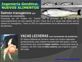 Ingeniería Genética:
NUEVOS ALIMENTOS
Salmón transgénico por
hormona de crecimiento.                                     (ISB, 2001, oct; Netlink, 2000).
Producido por AF Protein Inc. Cuenta con el promotor de la proteína de
anticongelamiento de otra especie de pez. Crece de 4 a 6 veces más rápido que un
salmón no transgénico. Tiene un 20% en mejoramiento de la eficiencia de conversión
del alimento.




                      VACAS LECHERAS con incremento de proteínas.
                      En Nueva Zelanda se clonaron vacas con óvulos mejorados
                      genéticamente, para mejorar la producción del queso y crema,
                      aumentando dos veces la kappa caseína, crucial para hacer la
                      cuajada y de 20% más de beta caseina, que mejora la acción
                      del cuajo



                                                             (Hoag, H. Nature, 27 enero 2003).
 