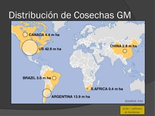 Distribución de Cosechas GM




                         m ha = millones
                          de hectáreas
 