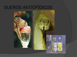 SUEROS ANTIOFÍDICOS
 