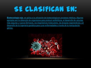 SE CLASIFICAN EN:
Biotecnología roja: se aplica a la utilización de biotecnología en procesos médicos. Algunos
ejemplos son la obtención de organismos para producir antibióticos, el desarrollo de vacunas
más seguras y nuevos fármacos, los diagnósticos moleculares, las terapias regenerativas y el
desarrollo de la ingeniería genética para curar enfermedades a través de la manipulación
génica.

 