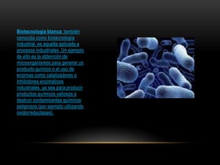 Biotecnología blanca: también
conocida como biotecnología
industrial, es aquella aplicada a
procesos industriales. Un ejemplo
de ello es la obtención de
microorganismos para generar un
producto químico o el uso de
enzimas como catalizadores o
Inhibidores enzimáticos
industriales, ya sea para producir
productos químicos valiosos o
destruir contaminantes químicos
peligrosos (por ejemplo utilizando
oxidorreductasas).

 