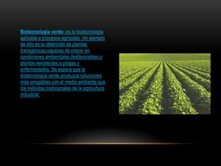 Biotecnología verde: es la biotecnología
aplicada a procesos agrícolas. Un ejemplo
de ello es la obtención de plantas
transgénicas capaces de crecer en
condiciones ambientales desfavorables o
plantas resistentes a plagas y
enfermedades. Se espera que la
biotecnología verde produzca soluciones
más amigables con el medio ambiente que
los métodos tradicionales de la agricultura
industrial.

 