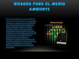 RIESGOS PARA EL MEDIO
AMBIENTE
Entre los riesgos para el medio ambiente
cabe señalar la posibilidad de polinización
cruzada, por medio de la cual el polen de
los cultivos genéticamente modificados
(GM) se difunde a cultivos no GM en
campos cercanos, por lo que pueden
dispersarse ciertas características como
resistencia a los herbicidas de plantas GM
a aquellas que no son GM. Esto que
podría dar lugar, por ejemplo, al
desarrollo de maleza más agresiva o de
parientes silvestres con mayor resistencia
a las enfermedades o a los estreses
abióticos, trastornando el equilibrio del
ecosistema.

 