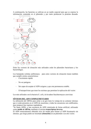 A continuación, las bacterias se cultivan en un medio especial para que se exprese la
información contenida en el plásmido y por tanto produzcan la proteína deseada.

Entre los vectores de clonación más utilizados están los plásmidos bacterianos y los
bacteriófagos.
Los huéspedes (células anfitrionas),
que cumplir ciertas características:
- Crecimiento rápido

para estos vectores de clonación tienen también

-

No ser patógeno

-

Ser capaz de aceptar el ADN exógeno y que este permanezca estable.

-

El huésped tiene que tener los enzimas que permitan la replicación del vector.

Los más utilizados son la bacteria E. coli y la levadura Saccharomyces cerevisiae
SÍNTESIS DEL ADN COMPLEMENTARIO
La utilización del ARNm para aislar a un gen tiene la ventaja de no contener intrones
que si están presentes en el ADN de eucariotas y todas las secuencias son codificantes,
pues tampoco hay regiones reguladoras.
“Se llama ADNc, a una secuencia de ADN sintetizada de forma artificial, utilizando
como molde al ARNm, mediante el enzima transcriptasa inversa.
El ADN monocatenario obtenido sirve de molde para formar el ADN bicatenario sin
intrones, que luego podrá ser insertado (clonación) en un plásmido o en otro vector.

4

 