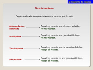 El trasplante de órganosEl trasplante de órganos
Tipos de trasplantesTipos de trasplantes
Según sea la relación que exista entre el receptor y el donante.
AlotrasplanteAlotrasplante
XenotrasplanteXenotrasplante
IsotrasplanteIsotrasplante
Autotrasplante oAutotrasplante o
autoinjertoautoinjerto
Donador y receptor son el mismo individuo.
No hay rechazoNo hay rechazo.
Donador y receptor son gemelos idénticos.
No hay rechazo.No hay rechazo.
Donador y receptor son de especies distintas.
Riesgo de rechazoRiesgo de rechazo.
Donador y receptor no son gemelos idénticos.
Riesgo de rechazo.Riesgo de rechazo.
 