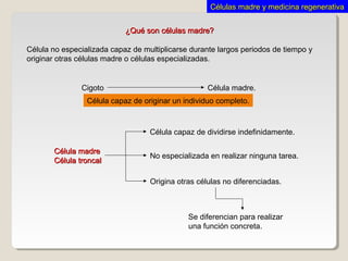 Células madre y medicina regenerativaCélulas madre y medicina regenerativa
Célula capaz de originar un individuo completo.
Cigoto Célula madre.
Célula madreCélula madre
Célula troncalCélula troncal
Célula capaz de dividirse indefinidamente.
Origina otras células no diferenciadas.
No especializada en realizar ninguna tarea.
Se diferencian para realizar
una función concreta.
¿Qué son células madre?¿Qué son células madre?
Célula no especializada capaz de multiplicarse durante largos periodos de tiempo y
originar otras células madre o células especializadas.
 
