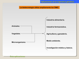 Aplicaciones de la ingeniería genéticaAplicaciones de la ingeniería genética
La biotecnología utiliza ampliamente los OMG.
Animales
Vegetales
Microorganismo
Industria alimentaria.
Industria farmacéutica.
Agricultura y ganadería.
Medio ambiente.
Investigación médica y básica.
Guía aplicaciones
 