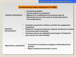 Aplicaciones de la ingeniería genéticaAplicaciones de la ingeniería genética
La biotecnología utiliza ampliamente los OMG.
Industria alimentaria.
Industria
farmacéutica.
Agricultura y ganadería.
• Cereales sin gluten
• Carnes pobres en colesterol
• Mejora en el rendimiento de procesos como la
fabricación de cerveza o pan en la que intervienen
microorganismos.
• Animales cuya leche contiene un factor de coagulación
sanguínea.
• Bacterias con genes humanos capaces de fabricar insulina
u hormonas del crecimiento.
• Introducir genes de antibióticos de hongos en bacterias
que crecen con más facilidad.
• Aumentar la resistencia a plagas o herbicidas de las
plantas
• Mayor producción de leche o carne.
 