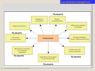 Los alimentos transgénicosLos alimentos transgénicos
Ya ocurre
Ya ocurre
Ya ocurre
Ya ocurre
Ya ocurre
por qué son peligrosos los alimentos transgénicos
 