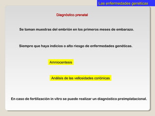 Diagnóstico prenatalDiagnóstico prenatal
Se toman muestras del embrión en los primeros meses de embarazo.
Siempre que haya indicios o alto riesgo de enfermedades genéticas.
AmniocentesisAmniocentesis
Análisis de las vellosidades coriónicasAnálisis de las vellosidades coriónicas
En caso de fertilización in vitro se puede realizar un diagnóstico preimplatacional.
Las enfermedades genéticasLas enfermedades genéticas
 