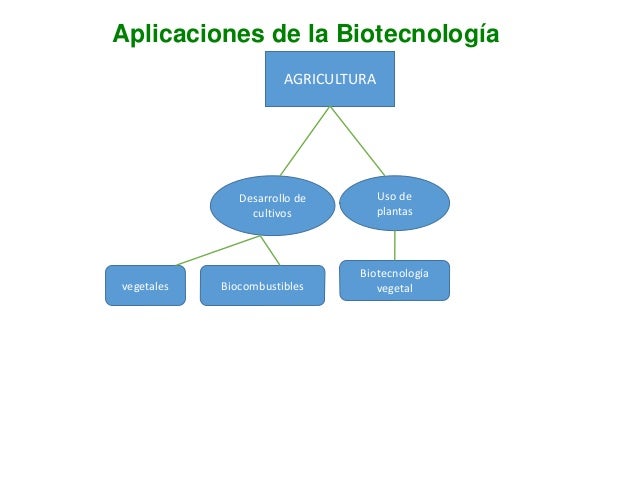 Historia de la Biotecnología y sus aplicaciones