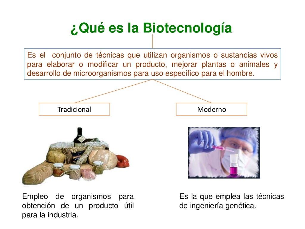 Historia de la Biotecnología y sus aplicaciones