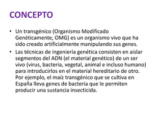 CONCEPTO
• Un transgénico (Organismo Modificado
Genéticamente, OMG) es un organismo vivo que ha
sido creado artificialmente manipulando sus genes.
• Las técnicas de ingeniería genética consisten en aislar
segmentos del ADN (el material genético) de un ser
vivo (virus, bacteria, vegetal, animal e incluso humano)
para introducirlos en el material hereditario de otro.
Por ejemplo, el maíz transgénico que se cultiva en
España lleva genes de bacteria que le permiten
producir una sustancia insecticida.
 