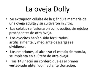 La oveja Dolly
• Se extrajeron células de la glándula mamaria de
una oveja adulta y su cultivaron in vitro.
• Las células se fusionaron con ovocitos sin núcleo
procedentes de otra oveja.
• Los ovocitos habían sido fertilizados
artificialmente, y mediante descargas se
dividieron.
• Los embriones, al alcanzar el estado de mórula,
se implanta en el útero de otra oveja.
• Tras 148 nació un cordero que es el primer
vertebrado obtenido mediante clonación.
 
