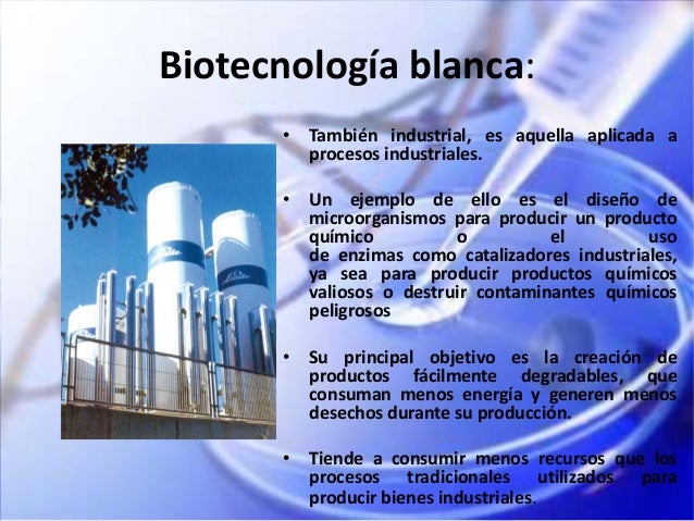 Biotecnologia genética