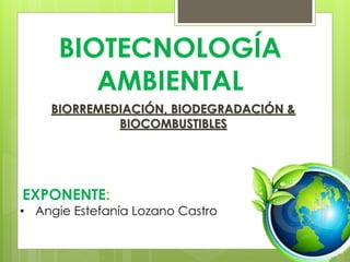 BIORREMEDIACIÓN, BIODEGRADACIÓN &
BIOCOMBUSTIBLES
EXPONENTE
• Angie Estefanía Lozano Castro
 