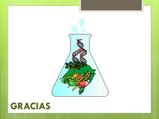 GRACIAS
 