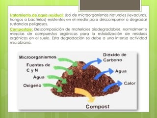 Tratamiento de agua residual: Uso de microorganismos naturales (levaduras,
hongos o bacterias) existentes en el medio para descomponer o degradar
sustancias peligrosas.
Compostaje: Descomposición de materiales biodegradables, normalmente
mezclas de compuestos orgánicos para la estabilización de residuos
orgánicos en el suelo. Esta degradación se debe a una intensa actividad
microbiana.
 
