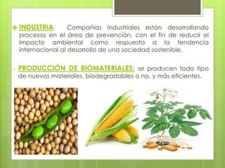  INDUSTRIA: Compañías industriales están desarrollando
procesos en el área de prevención, con el fin de reducir el
impacto ambiental como respuesta a la tendencia
internacional al desarrollo de una sociedad sostenible.
o PRODUCCIÓN DE BIOMATERIALES: se producen todo tipo
de nuevos materiales, biodegradables o no, y más eficientes.
 