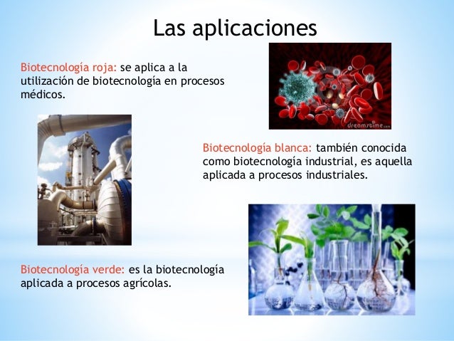 Resultado de imagen para la biotecnologia en los procesos medicos