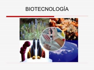 BIOTECNOLOGÍA
 