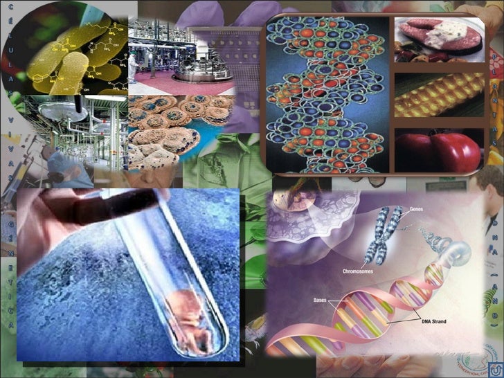 BiotecnologíA.Mi.Glendys