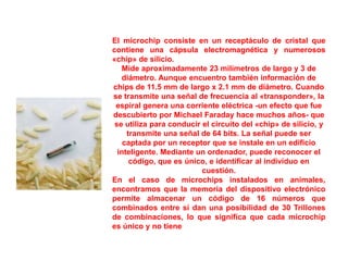 El microchip consiste en un receptáculo de cristal que
contiene una cápsula electromagnética y numerosos
«chip» de silicio.
Mide aproximadamente 23 milímetros de largo y 3 de
diámetro. Aunque encuentro también información de
chips de 11.5 mm de largo x 2.1 mm de diámetro. Cuando
se transmite una señal de frecuencia al «transponder», la
espiral genera una corriente eléctrica -un efecto que fue
descubierto por Michael Faraday hace muchos años- que
se utiliza para conducir el circuito del «chip» de silicio, y
transmite una señal de 64 bits. La señal puede ser
captada por un receptor que se instale en un edificio
inteligente. Mediante un ordenador, puede reconocer el
código, que es único, e identificar al individuo en
cuestión.
En el caso de microchips instalados en animales,
encontramos que la memoria del dispositivo electrónico
permite almacenar un código de 16 números que
combinados entre sí dan una posibilidad de 30 Trillones
de combinaciones, lo que significa que cada microchip
es único y no tiene posible duplicidad.
 